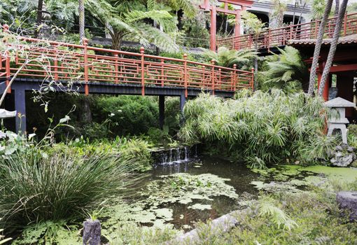 the japanese part of the botanical garden madeira with water and with red bridges and ornaments