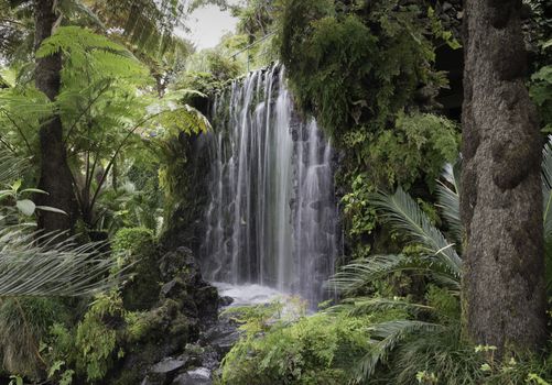 waterfall on madeira island with green plants and trees