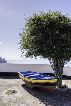 olive tree and blue yellow and red painted boat at ocean coastline on madeira island