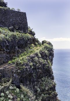 rocks with flowers and cactus on madeira island