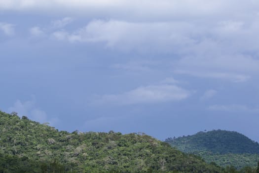 top view of forest in thailand and blue sky.