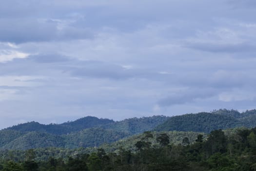 top view of forest in thailand and blue sky.