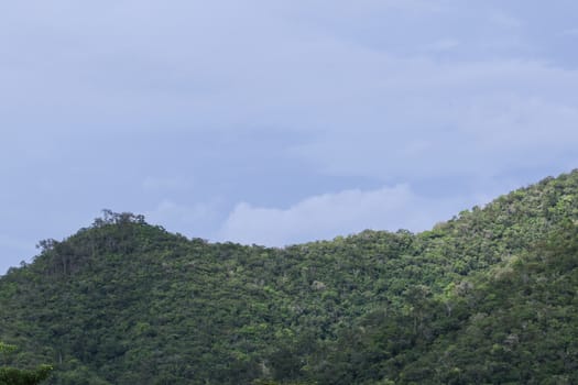 top view of forest in thailand and blue sky.