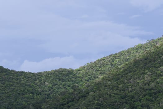 top view of forest in thailand and blue sky.