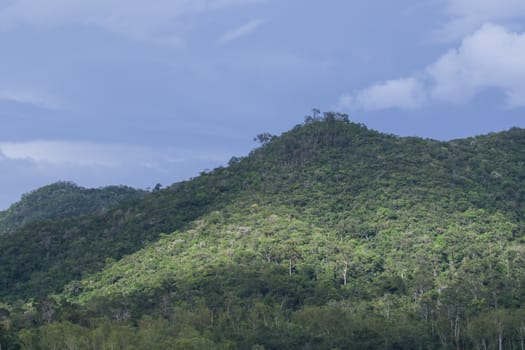 top view of forest in thailand and blue sky.