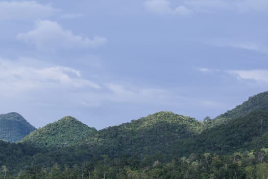 top view of forest in thailand and blue sky.