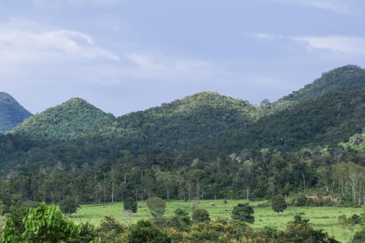 top view of forest in thailand and blue sky.