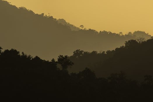 view of forest in thailand and  sky is many colour at sunset .