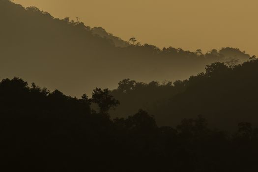 view of forest in thailand and  sky is many colour at sunset .