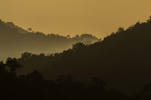 view of forest in thailand and  sky is many colour at sunset .