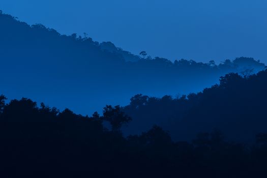 view of forest in thailand and  sky is many colour at sunset .