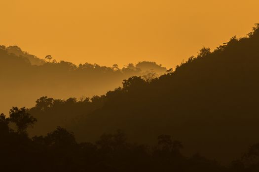 view of forest in thailand and  sky is many colour at sunset .