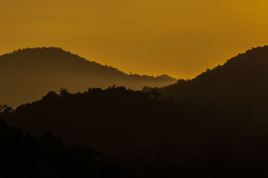 view of forest in thailand and  sky is many colour at sunset .
