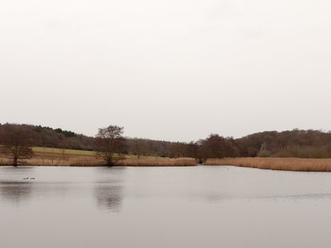 bleak cold white sky winter lake serene country landscape depressing; essex; england; uk