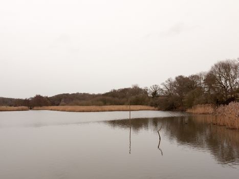 bleak cold white sky winter lake serene country landscape depressing; essex; england; uk