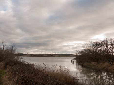 uk autumn winter grey cloudy bay scene outside river branches; essex; england; uk