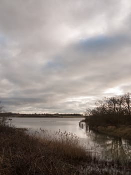 uk autumn winter grey cloudy bay scene outside river branches; essex; england; uk