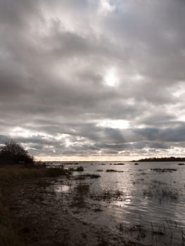 moody sky overcast autumn winter bay water ocean trees; essex; england; uk