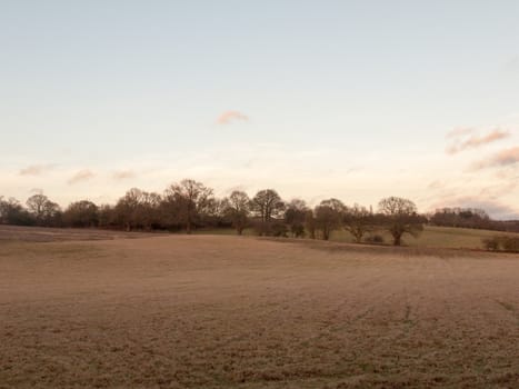 bare barren autumn winter farmland plain no people trees sky; essex; england; uk