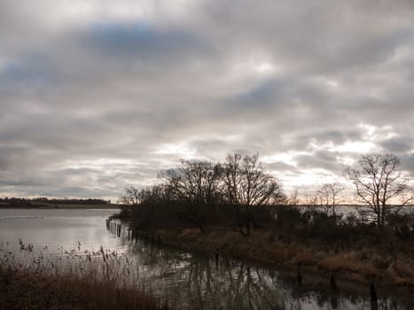 uk autumn winter grey cloudy bay scene outside river branches; essex; england; uk