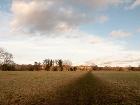 muddy brown pathway through farm field grass winter bare trees; essex; england; uk