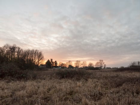 autumn winter dead grass field sunset grey overcast sky; essex; england; uk