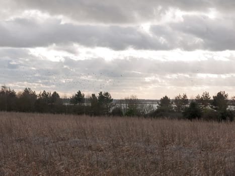 moody skyline clouds over autumn farm field ; essex; england; uk