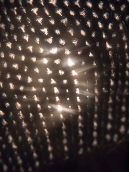 close up of holes fabric texture with light coming through; essex; england; uk