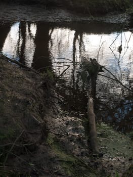 dark inside under tree canopy stream water silhouettes; essex; england; uk