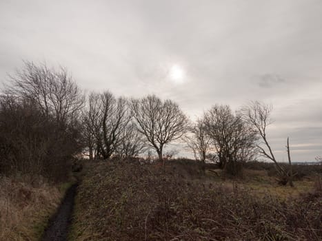 autumn winter dead grass field sunset grey overcast sky; essex; england; uk