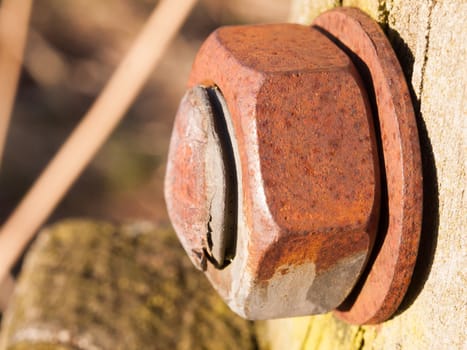 close up of large rusty bolt and screw head; essex; england; uk