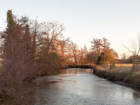 autumn bare branch trees lining river stream water nature landscape; essex; england; uk