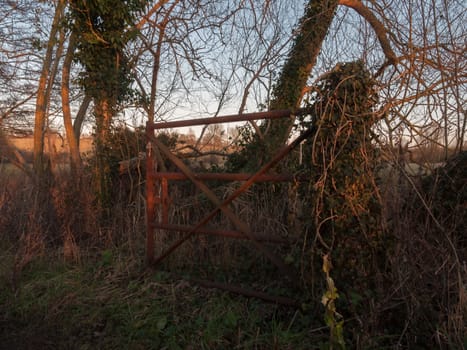 old rusty country gate abandoned sunset special; essex; england; uk