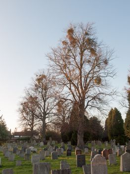 church cemetery with graves and trees country ; essex; england; uk
