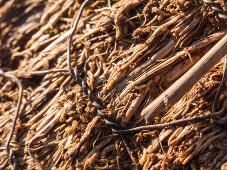 close up of twisted metal wire on forest floor wood plank; essex; england; uk