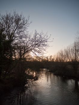 nighttime autumn lake bare branch trees river birds; essex; england; uk