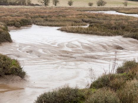 close up texture of wet mudflats river estuary; essex; england; uk
