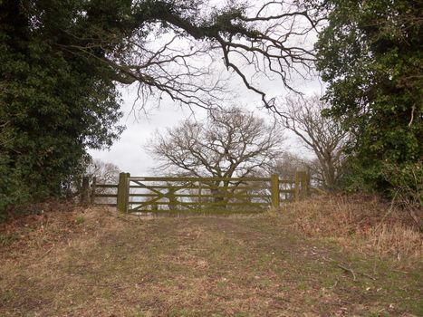 wooden gate fence tree country private field farm; essex; england; uk
