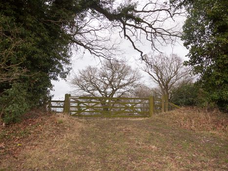 wooden gate fence tree country private field farm; essex; england; uk