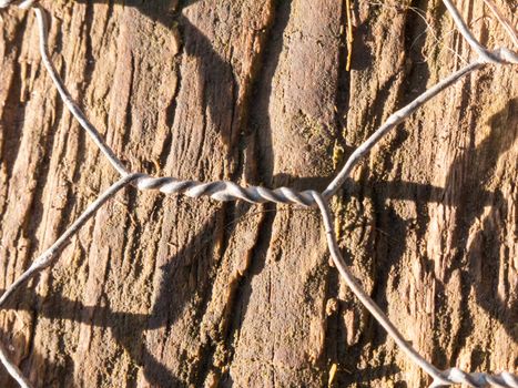 close up of twisted metal wire on forest floor wood plank; essex; england; uk