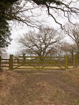 wooden gate fence tree country private field farm; essex; england; uk