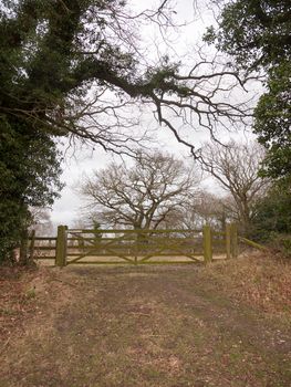 wooden gate fence tree country private field farm; essex; england; uk