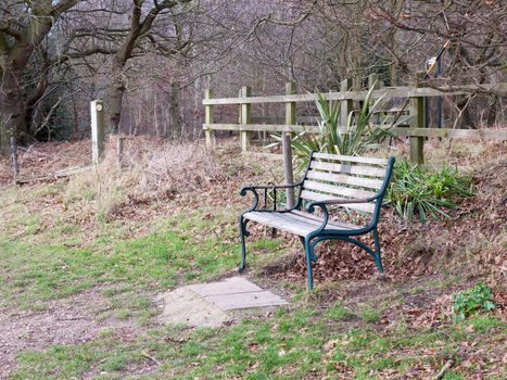 outside empty park bench autumn countryside lonely; essex; england; uk