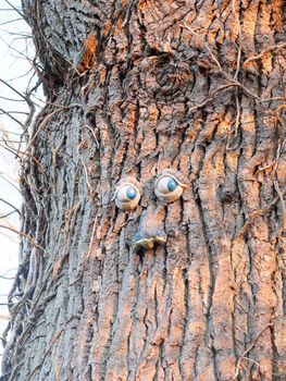 funny eyes and mouth plastic on tree bark surface; essex; england; uk