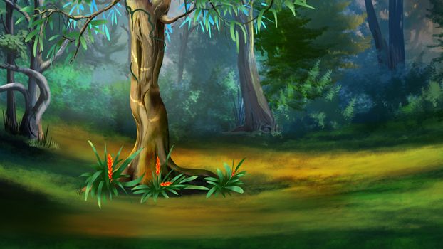 Large Tree in a Dense Forest in a Summer Day. Digital Painting Background, Illustration in cartoon style character.