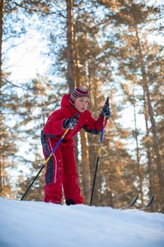 A little boy in red clothes is skiing in a pine forest