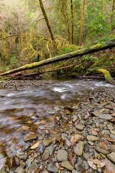 A Small River in Northern California, Color Image