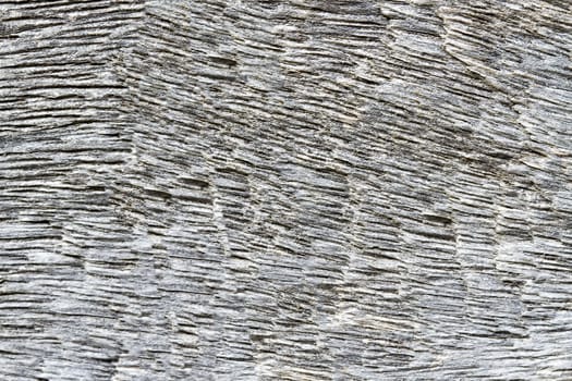 Wood gray texture for the background 