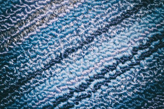 blue and sky and gray carpet background texture