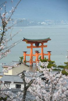 red gate at miyajima with cherry blossom